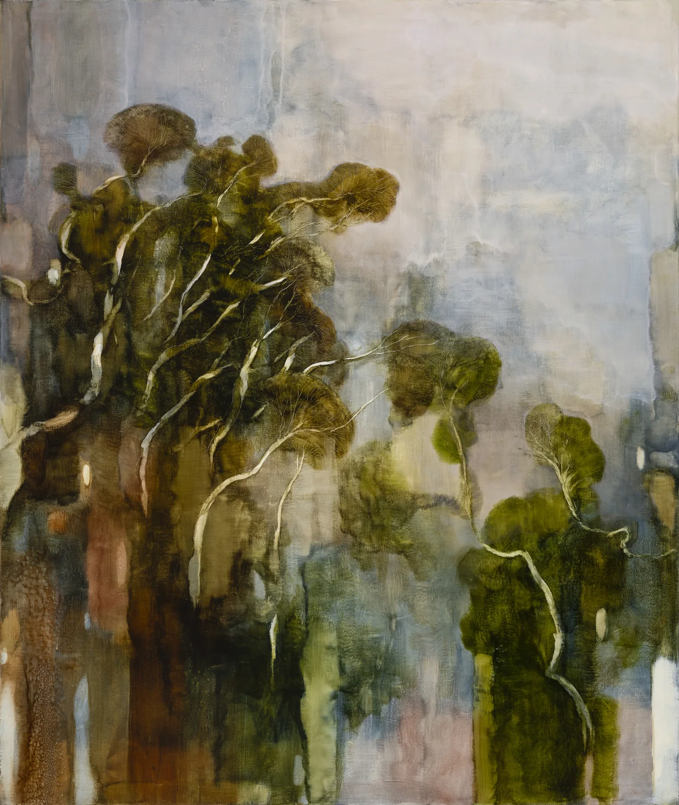 Moonah sky — Oil on canvas by Graeme Altmann